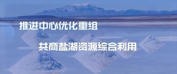 国家盐湖资源综合利用工程技术研究中心第四届技术委员会会议召开