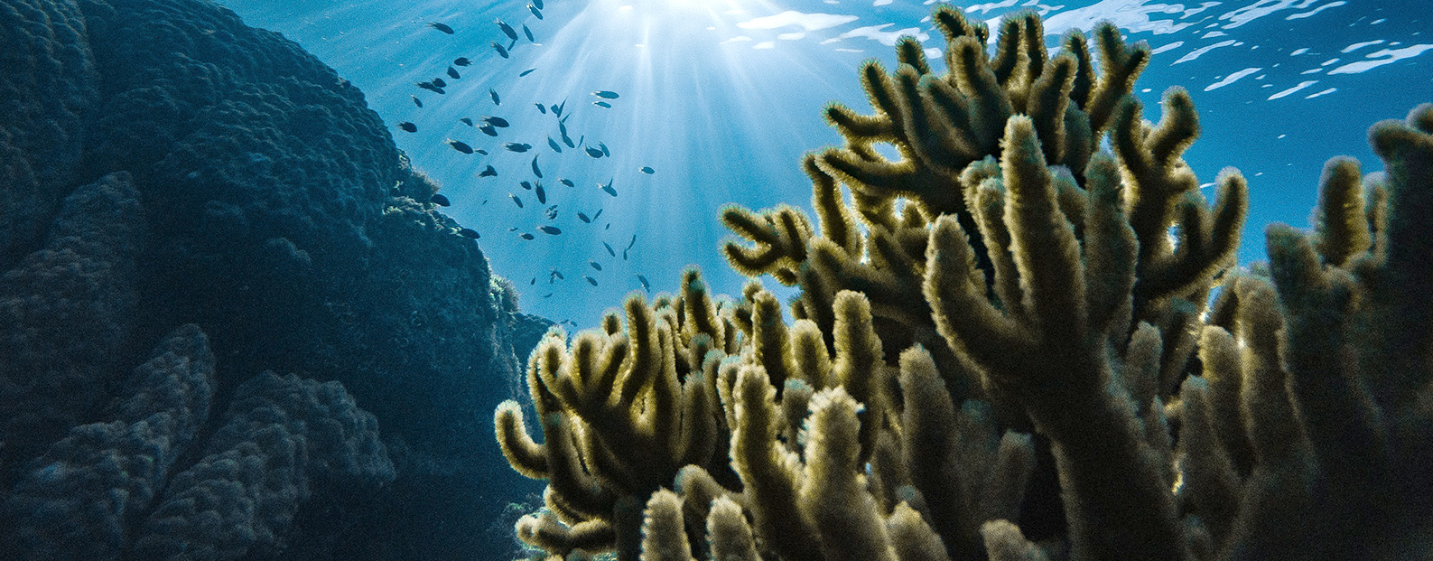 合乐HL8中水回用、陶瓷膜、石墨烯膜、黑金膜公众号，欢迎您扫码关注！