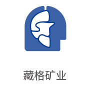 合乐HL8合作伙伴：藏格矿业